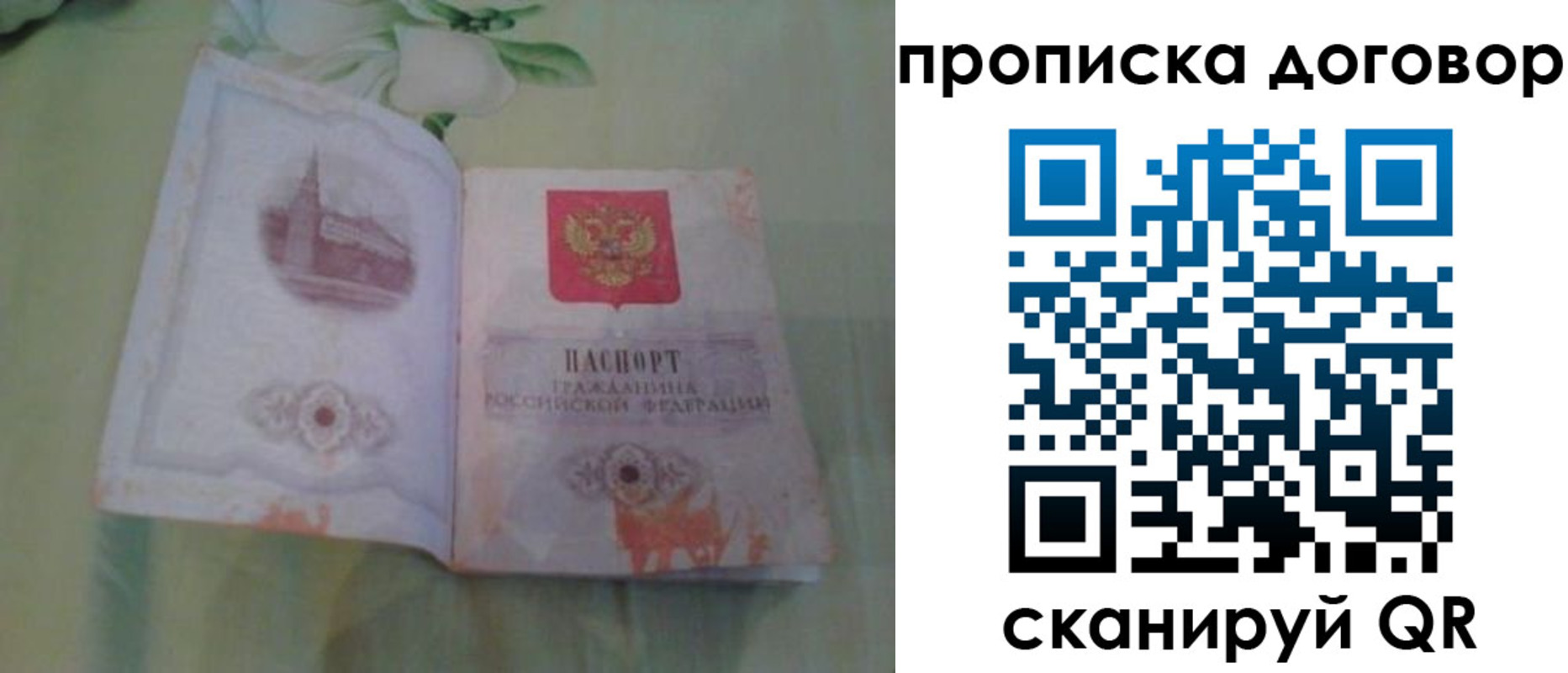 временная регистрация гарантия в Судогде